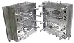 mold